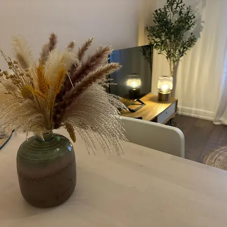 - Centre-ville 4pers Rdc Appartement Mulhouse